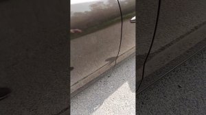 1000015077.mp4