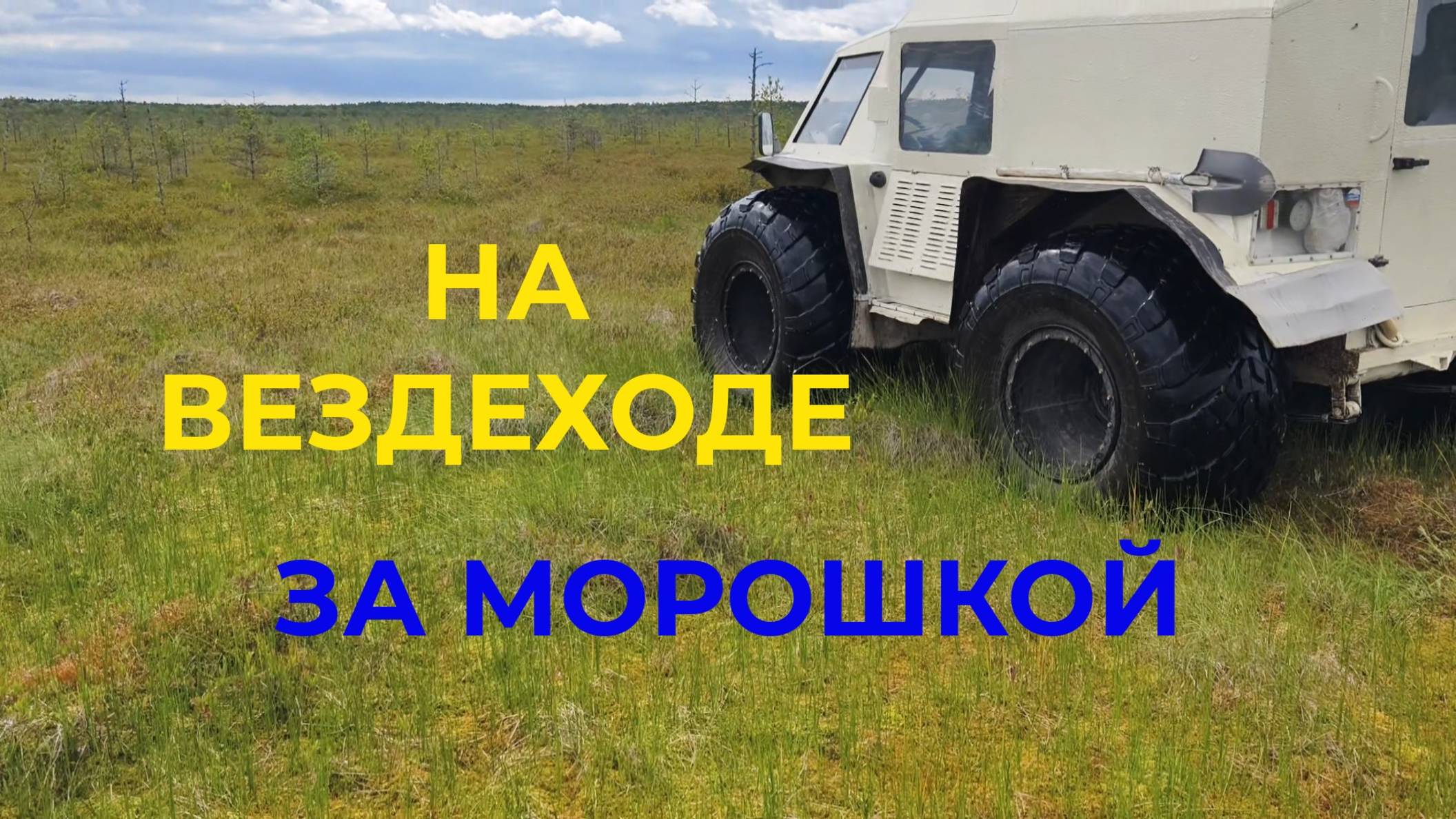 На Вездеходе Ездил за Морошкой и варенье варил