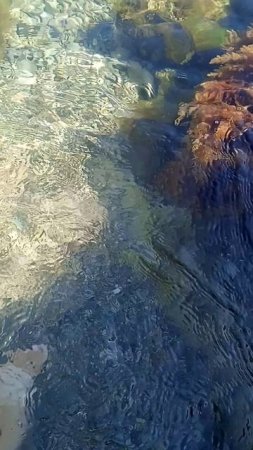 Обзор пляжа! море#Солнце#Жара#