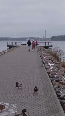 Валдайское озеро 1 декабря