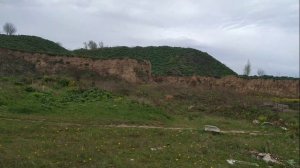 Прогулки 10.05.2020