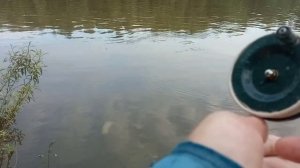 Рыбалка на поплавочную удочку. Река Обь. Клюёт, Плотва, Уклейка.