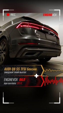AUDI Q8 55 TFSI бензин с активной электронной выхлопной системой ENGINEVOX