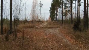 2020окт18-1 осень сормовских песков 1