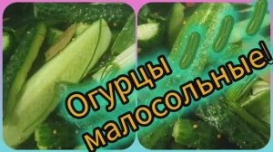 Малосольные огурцы в мешке! Простой и быстрый рецепт!