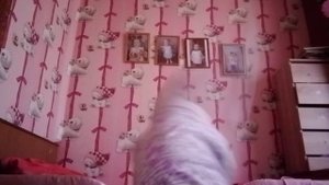 Гимнастика у дедушки в деревне