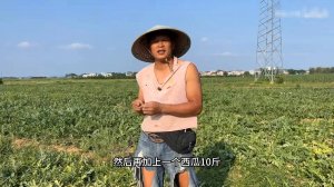 Сяо Хэ из Цяотоу - объясняет почему в Гуанси на полях гниют арбузы