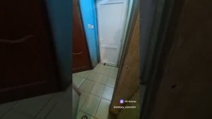 зоогостиница Стерлитамак т. 8 964 9 601 600