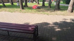 Наша прогулка/мукбанг