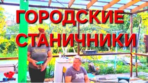 598 Городские Станичники. Первый урожай.Радости не много.