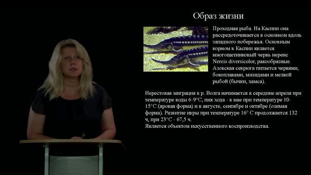 Тема 1. Биологические особенности и хозяйственные качества видов осетровых рыб