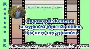 Садовод В.Железов  и муравей - братья навек. Без него нет урожаев.