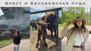 Поездка в Брест | Брестская крепость | Беловежская пуща