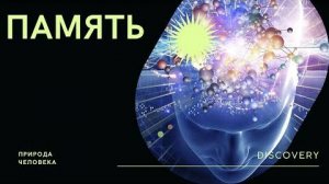 Память человека | Документальный фильм | Discovery