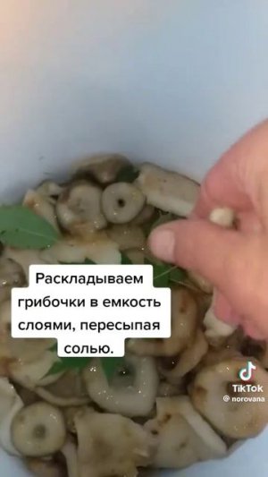 1000105216.mp4