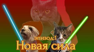 Pets in space | Эпизод 1: Новая сила