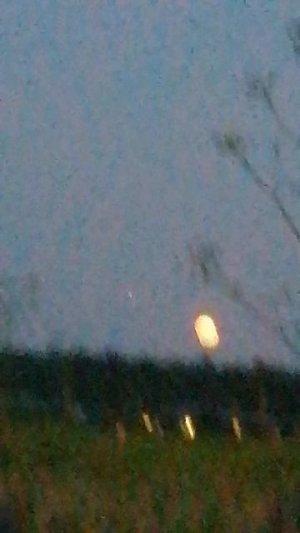 VID_20250709_211524.mp4