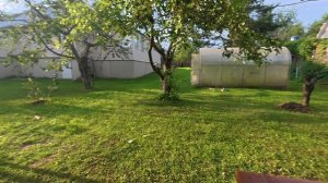 dji_mimo_20250628_№4