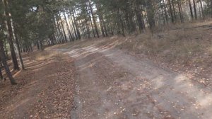 2020окт11-4 осень сормовских болот 4