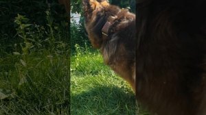 We are on a walk