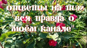 Ответы на ТЭГ " Вся правда о моём канале"