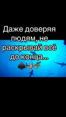 Правда жизни