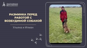 Разминка перед работой с возбудимой собакой