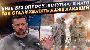 Зеленский сам «вступил» в ЕС и НАТО! ТЦК «забривают» алкашей, армия шлёт их назад!