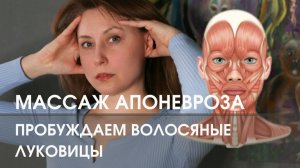 МАССАЖ ГОЛОВЫ ДЛЯ КРАСОТЫ ЛИЦА И ВОЛОС
