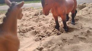 Один день глазами вожака