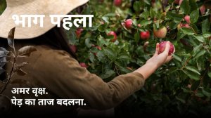 अमर वृक्ष। मुकुट बदलना। भाग 2।