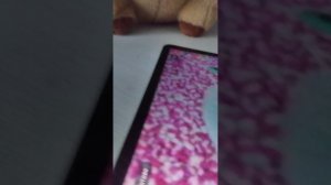 1000067253.mp4