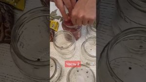 1000105027.mp4