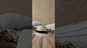 Обращаюсь к подписчикам (чекайте описание если не поняли)