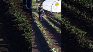 Ботаник