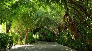 Владислав Туманов - Мальдивы и песни