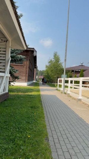 Черри наблюдает