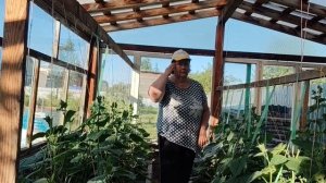Огород забросила, отдыхаю с детьми и внуками.