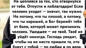 ПРИТЧА:СОБАКА И ВОЛКИ..
