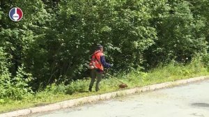 Укос травы