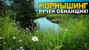 🚫ОНИ СКРЫВАЛИ ЭТО МЕСТО!🎣 ШОК — вместо Форели клюнуло...ЭТО😨Дикий ручей #мормышинг