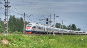 Сдвоенный Сапсан по пути в Москву. Санкт-Петербург, перегон Колпино - Саблино. 29.06.25.