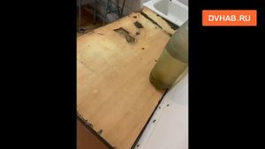 Тараканы и клопы правят в общежитии хабаровского техникума