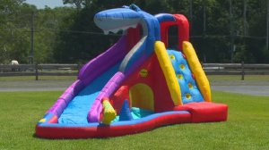 Надувной батут Happy Hop "Акула 2" арт. 9417