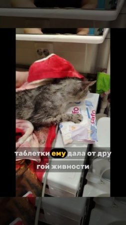 Сёма и Марсель 3 серия