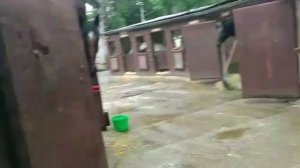Лошадки "У моря Обского"