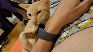 весьма ориентальная Груша