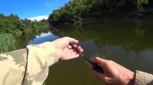 Рыбалка на лесной реке