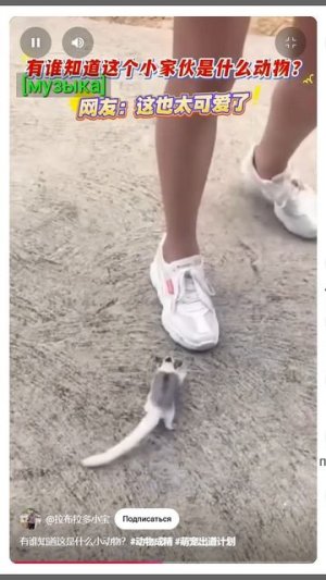 кто эта милашка