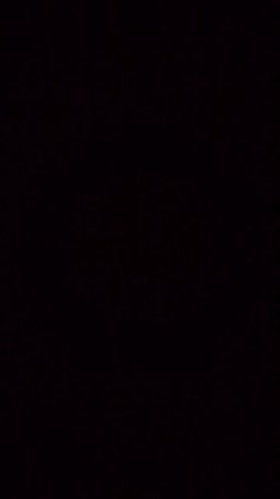 1000000154.mp4